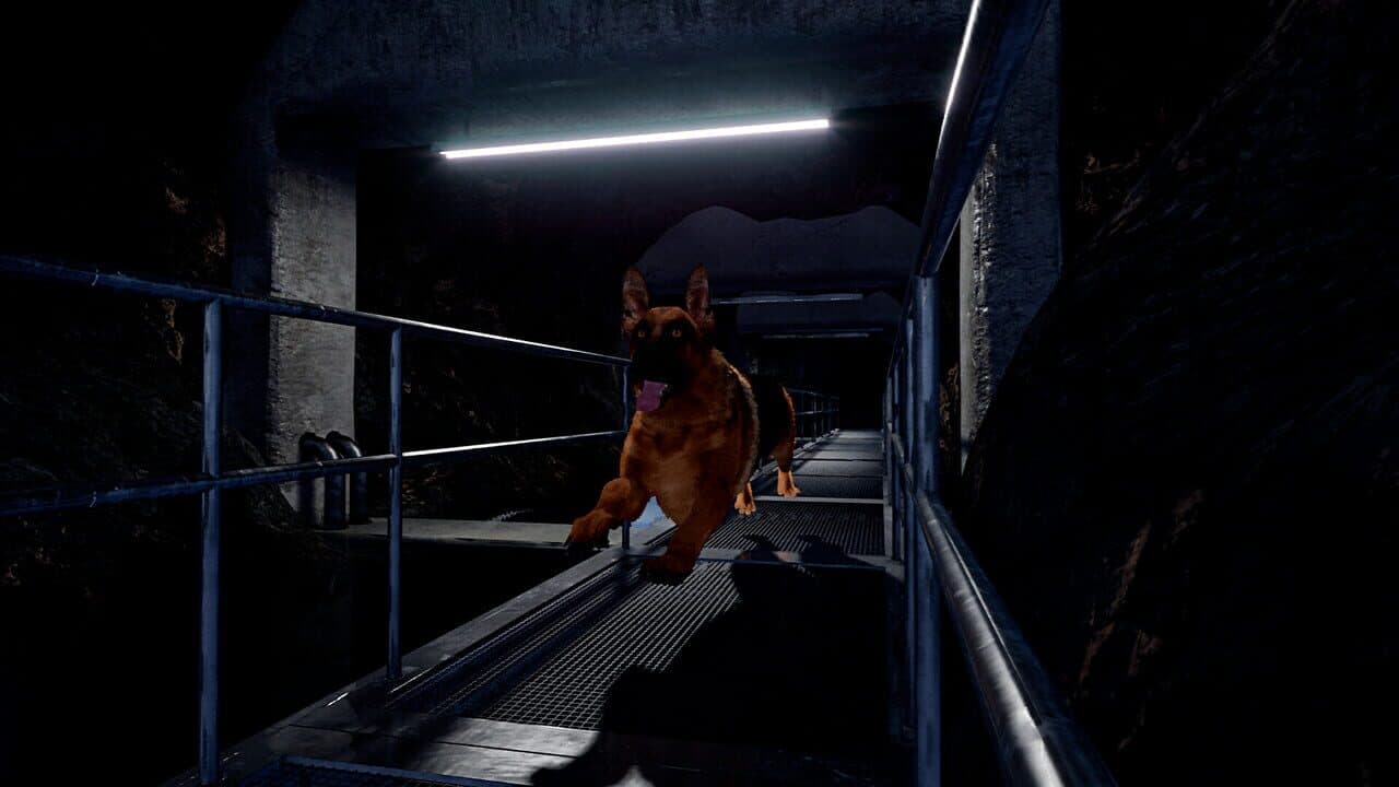 Doggy Up! thumbnail 9
