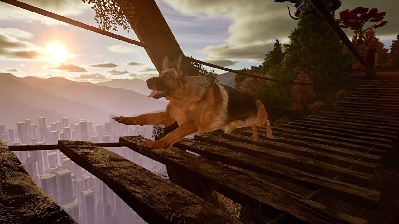 Doggy Up! thumbnail 11