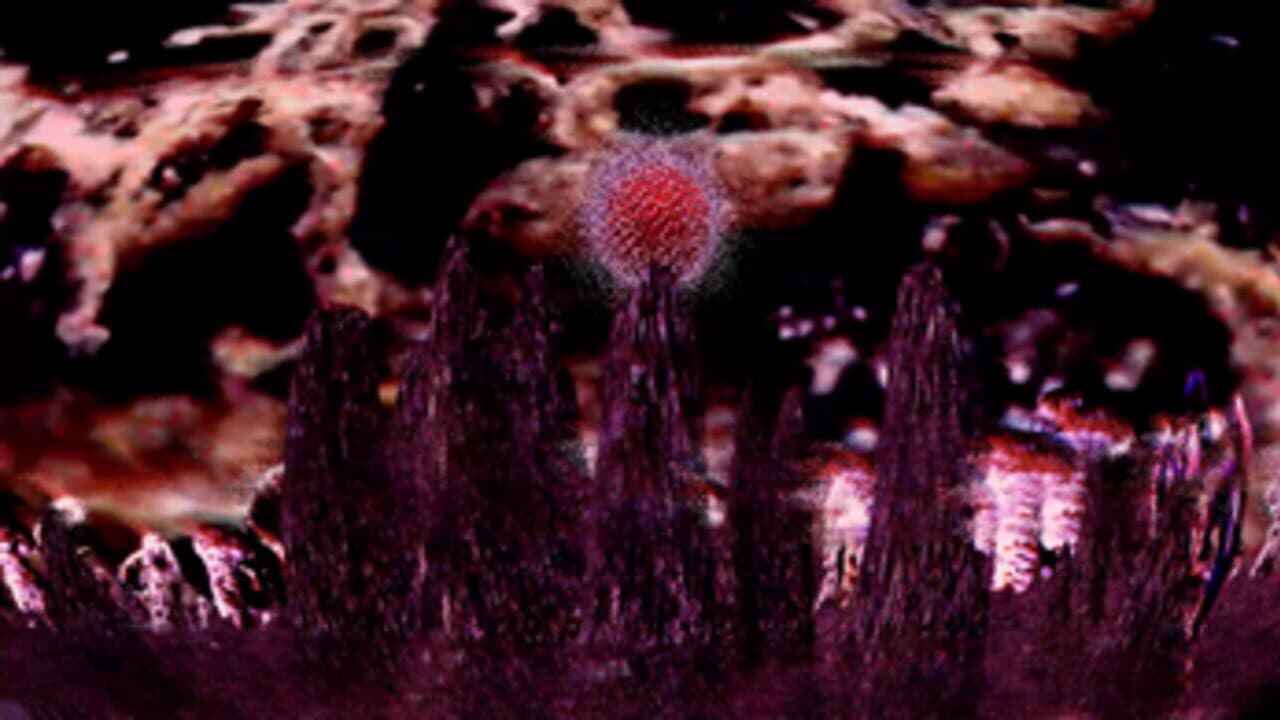 Exophilie thumbnail 2