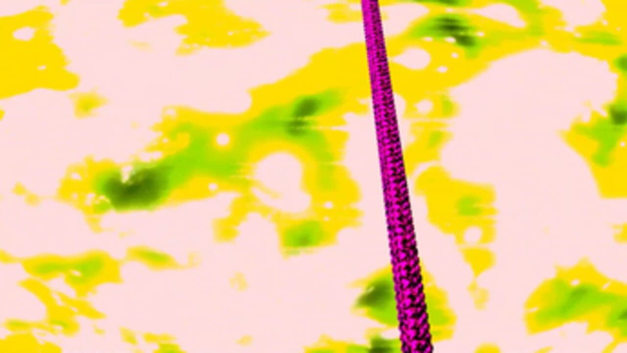Exophilie thumbnail 3