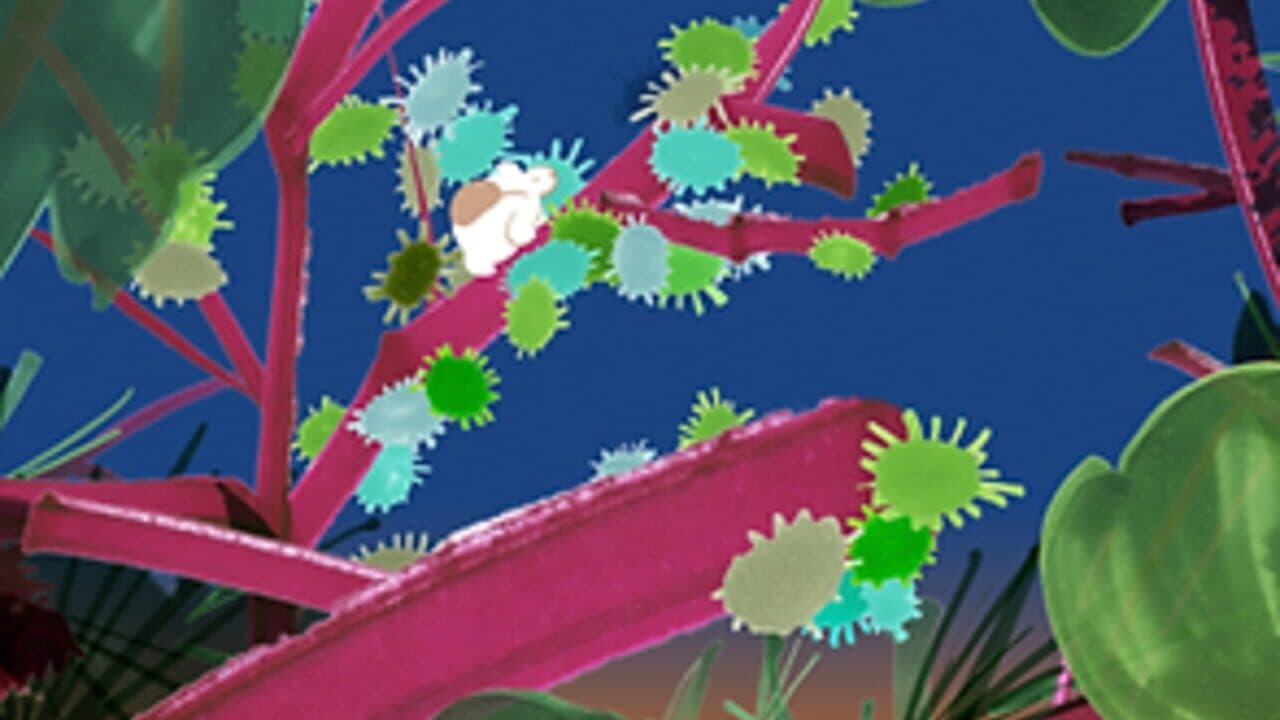 Wander in Wonder thumbnail 3