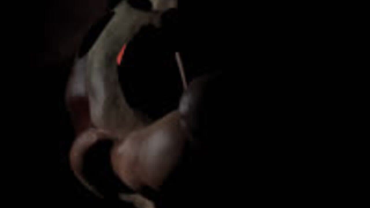 Five Nights at Treasure Island 2: Original Revamp thumbnail 3