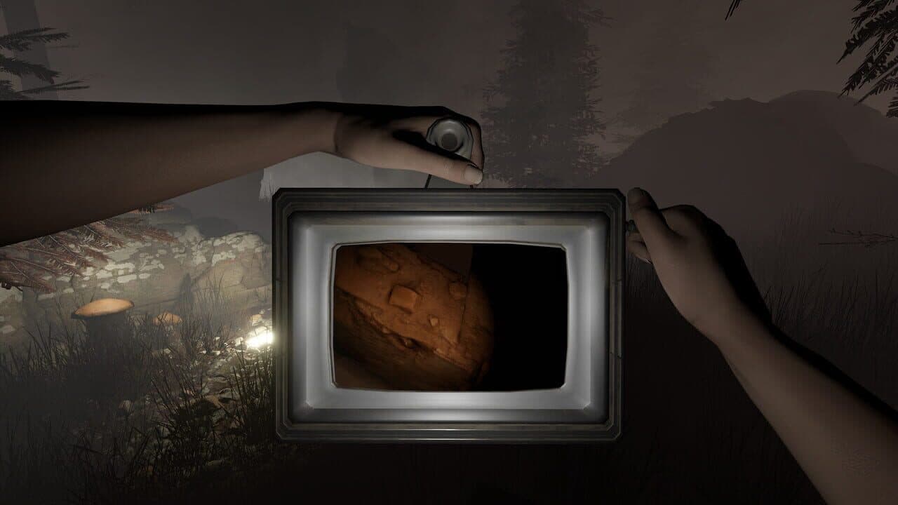 Sylvio: Black Waters thumbnail 2