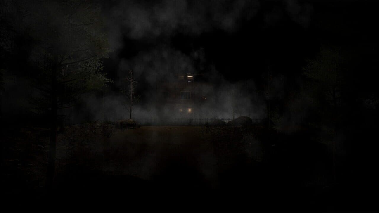 Y. Village: The Visitors thumbnail 4