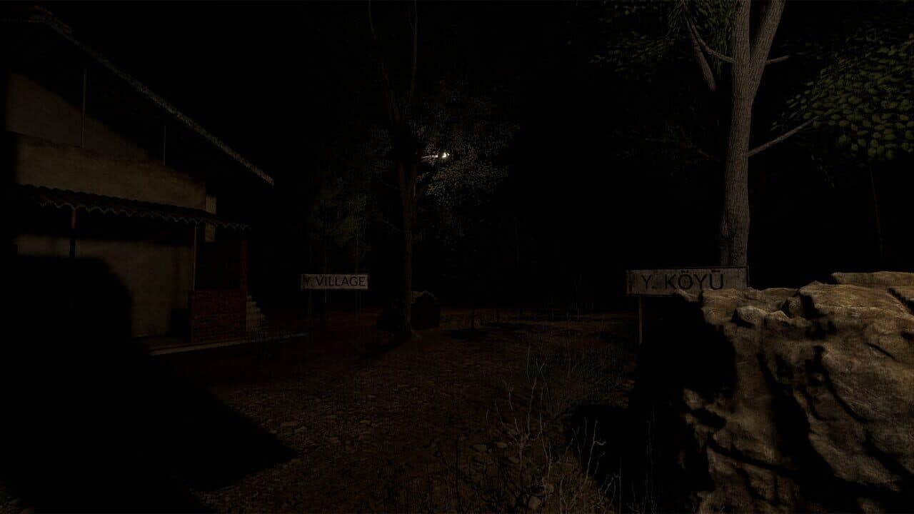 Y. Village: The Visitors thumbnail 6