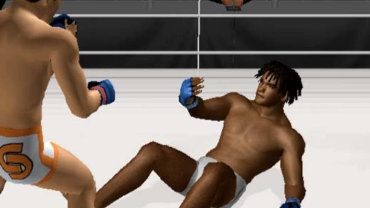 Pride FC: Fighting Championships thumbnail 8