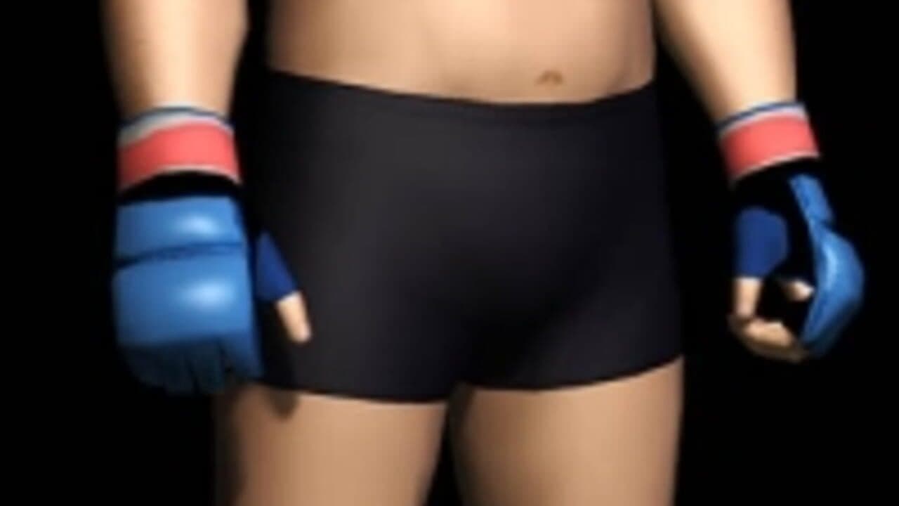 Pride FC: Fighting Championships thumbnail 16