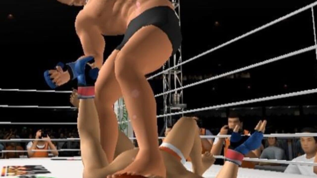 Pride FC: Fighting Championships thumbnail 17