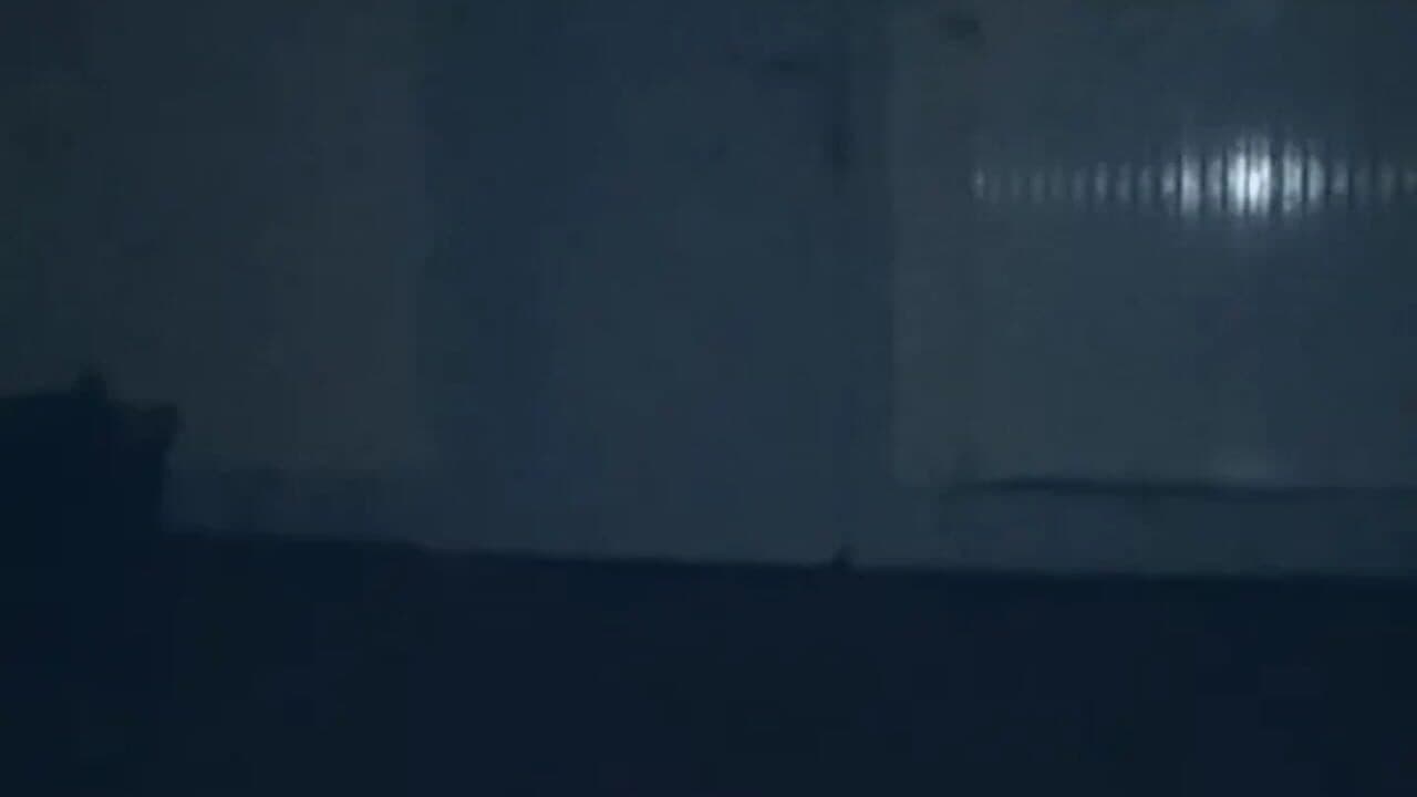 Five Nights at Freddy's AR Lite thumbnail 16