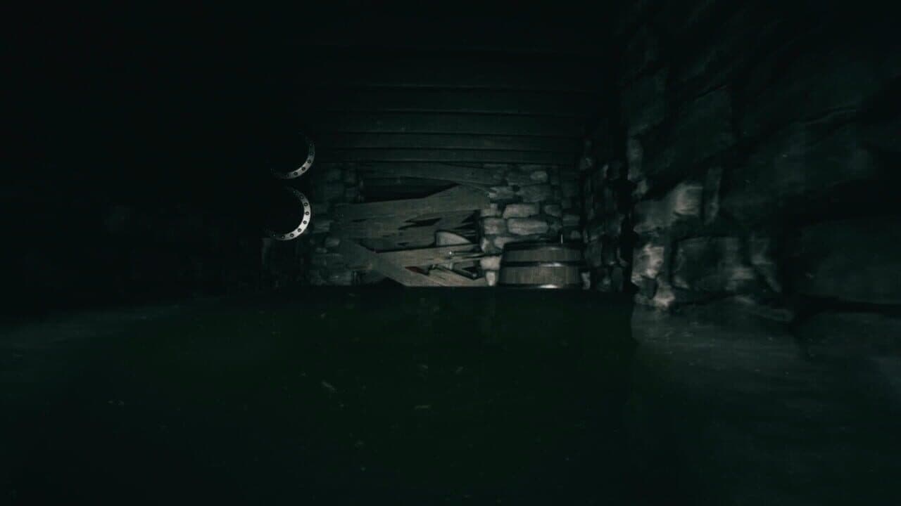 Forsisted: The Sacred Souls thumbnail 2