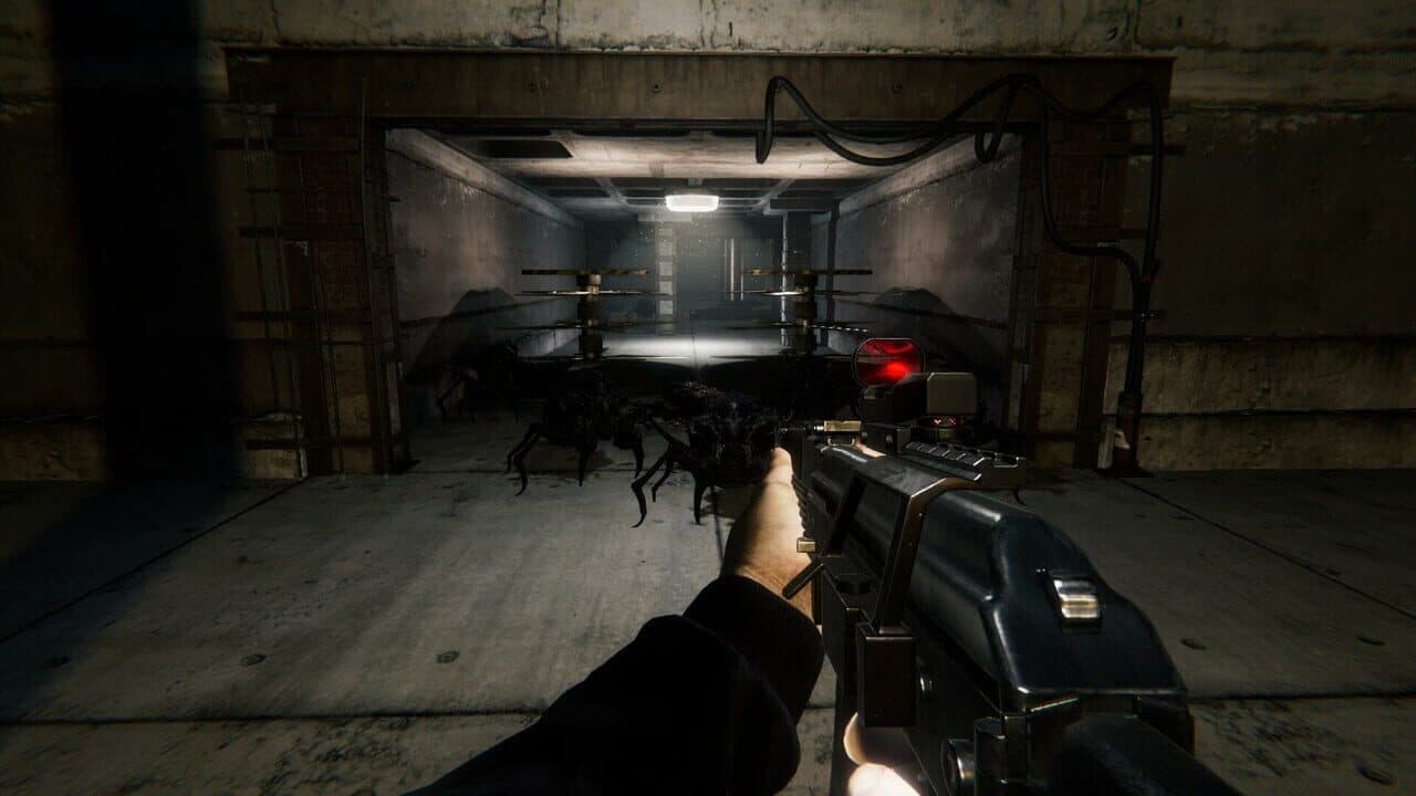 Roach Race thumbnail 6