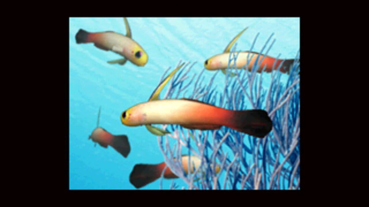 Aqua-World: Umi Monogatari thumbnail 3