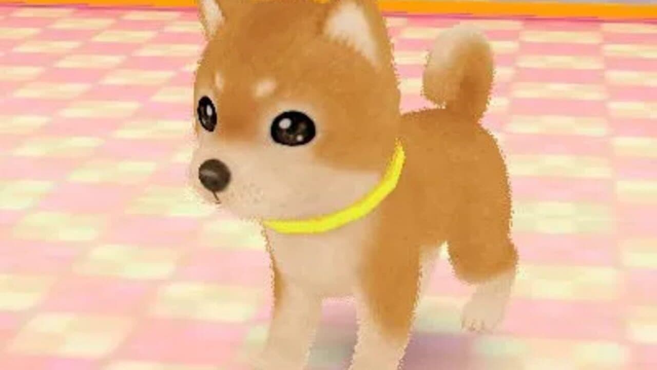Wan Nyan Pet Shop thumbnail 4