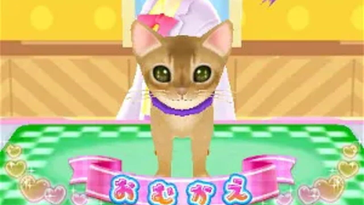 Wan Nyan Pet Shop thumbnail 7