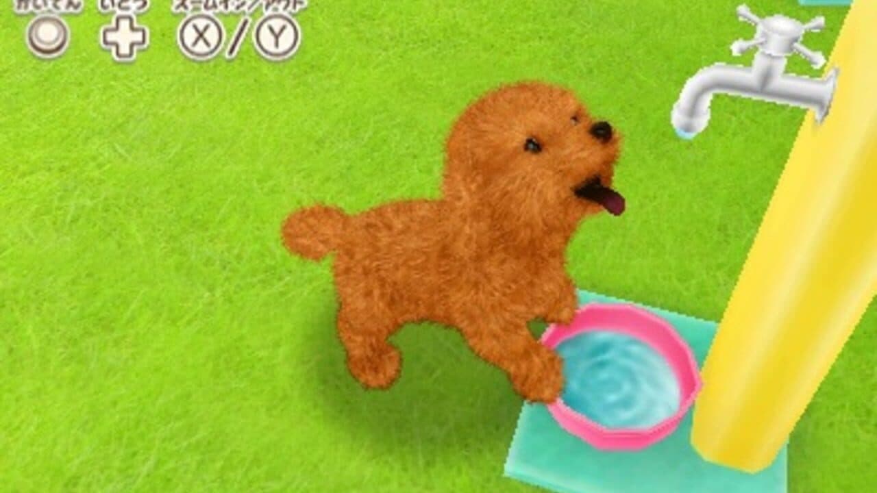 Kawaii Pet to Kurasou! Wan Nyan & Mini Mini Animal thumbnail 2