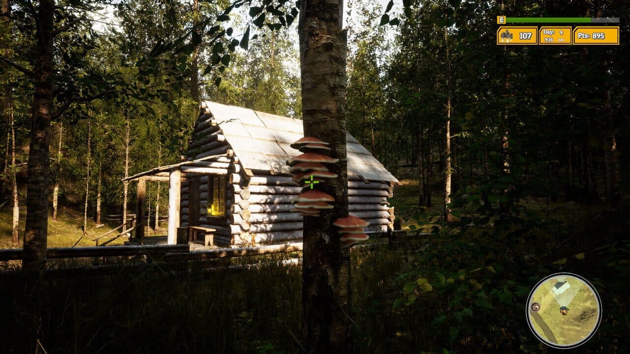 Morels: The Hunt 2 thumbnail 5