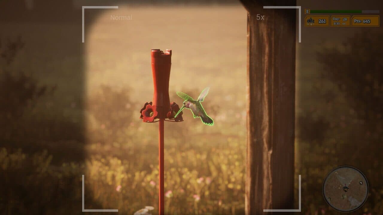 Morels: The Hunt 2 screenshot 1