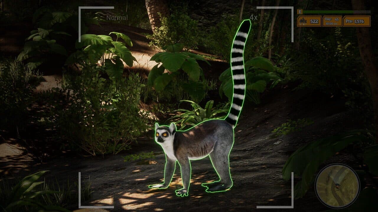 Morels: The Hunt 2 thumbnail 2