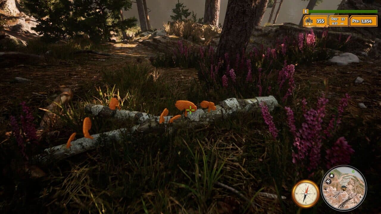 Morels: The Hunt 2 thumbnail 3
