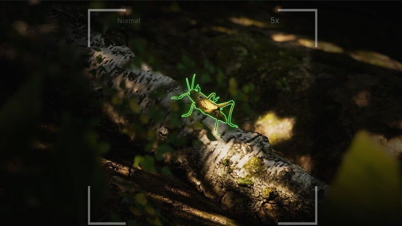 Morels: The Hunt 2 thumbnail 4