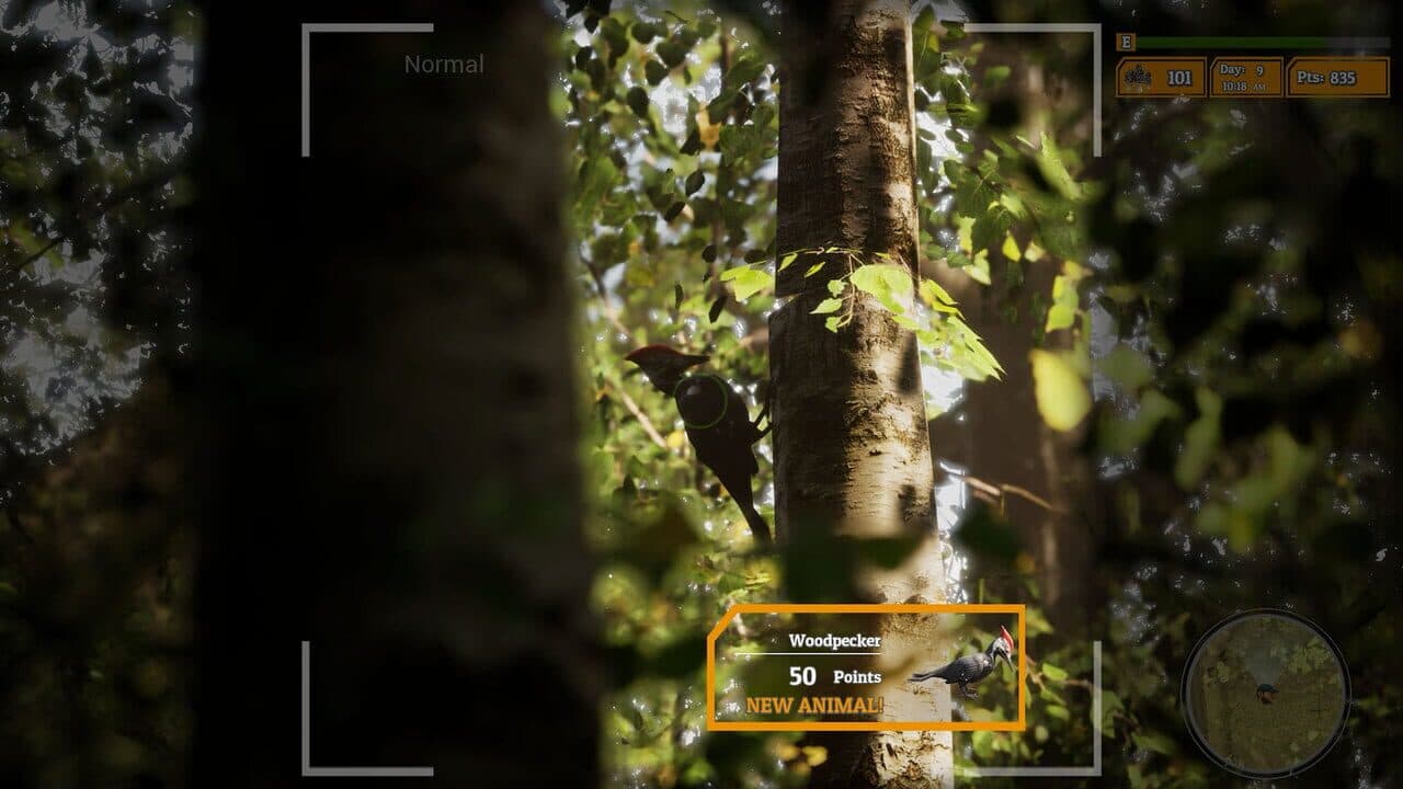 Morels: The Hunt 2 thumbnail 6