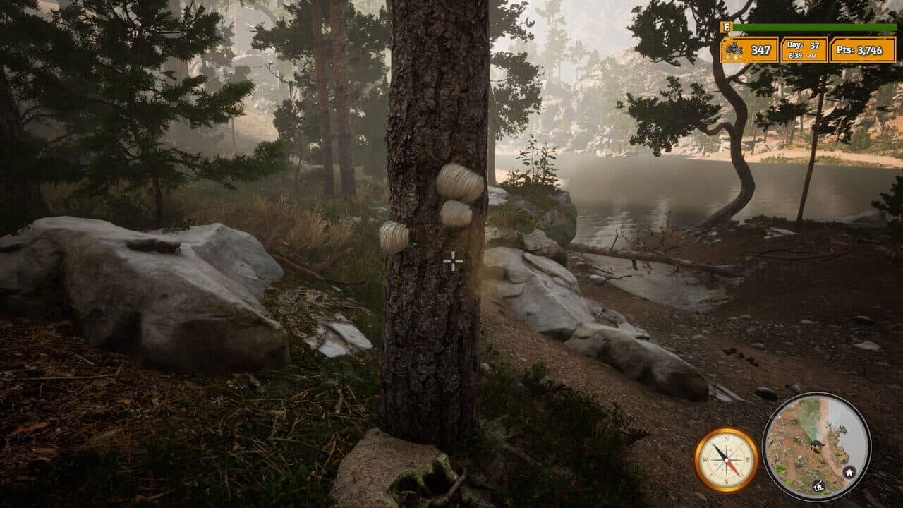 Morels: The Hunt 2 thumbnail 7