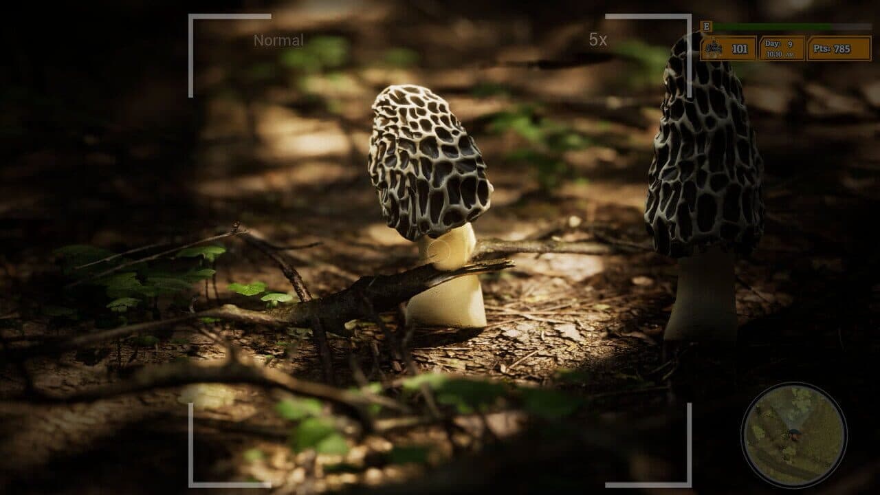 Morels: The Hunt 2 thumbnail 9