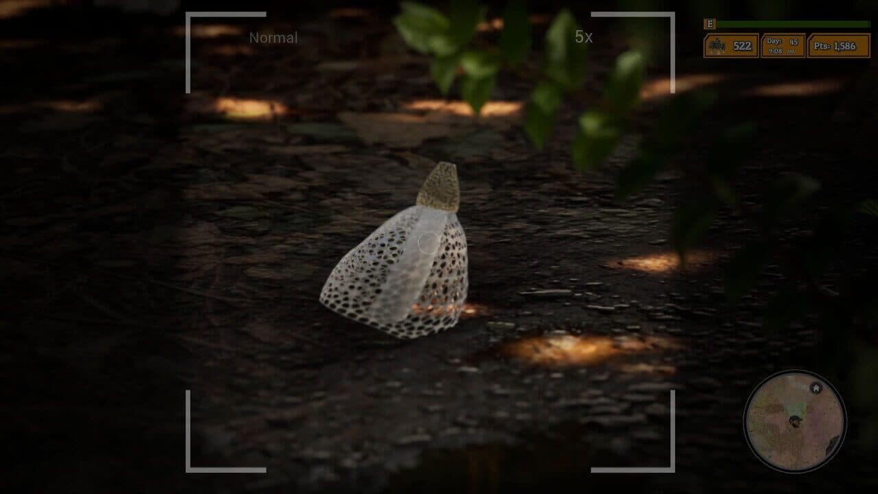 Morels: The Hunt 2 thumbnail 11