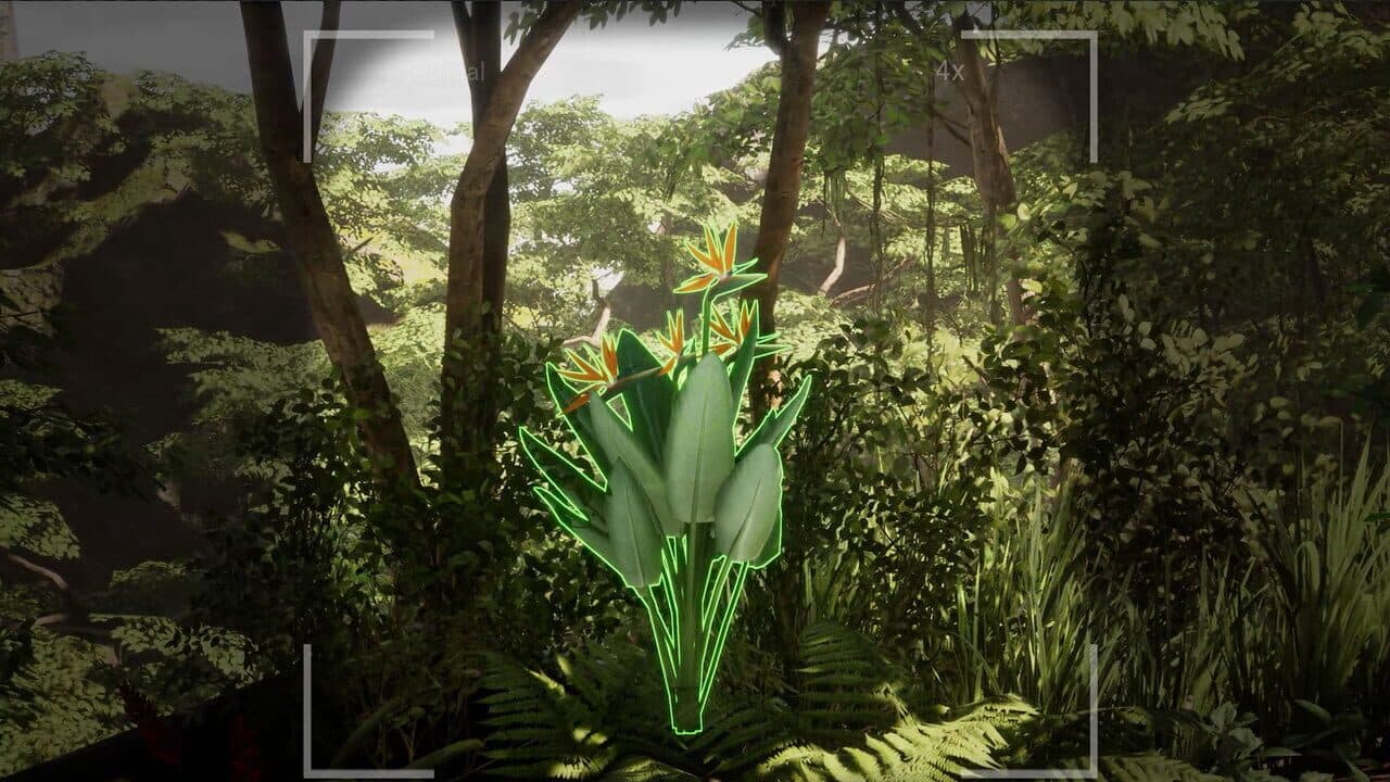 Morels: The Hunt 2 thumbnail 12