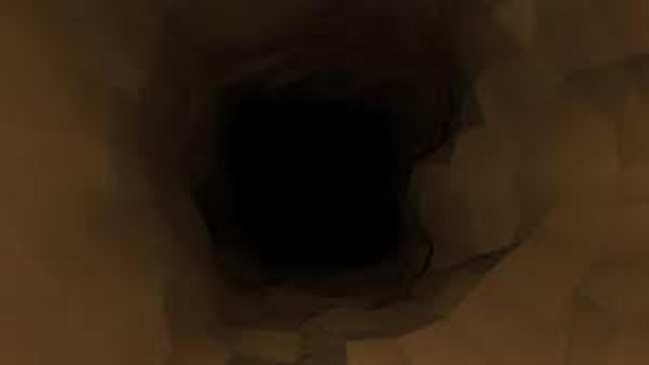 Curiosity Killed the Explorer screenshot 1