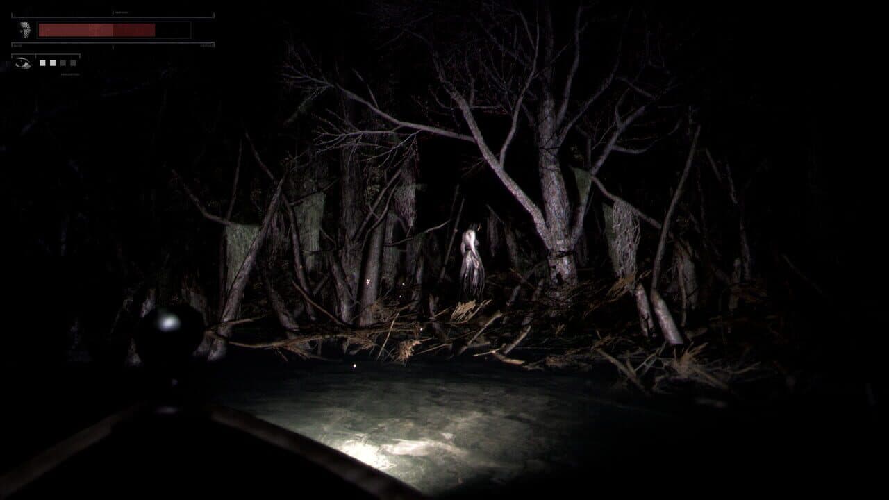 Drowned Lake thumbnail 3