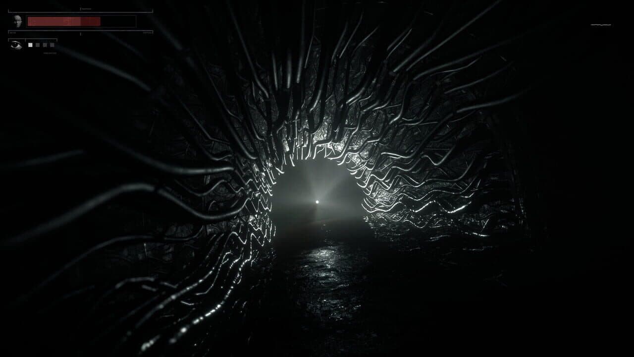 Drowned Lake thumbnail 5