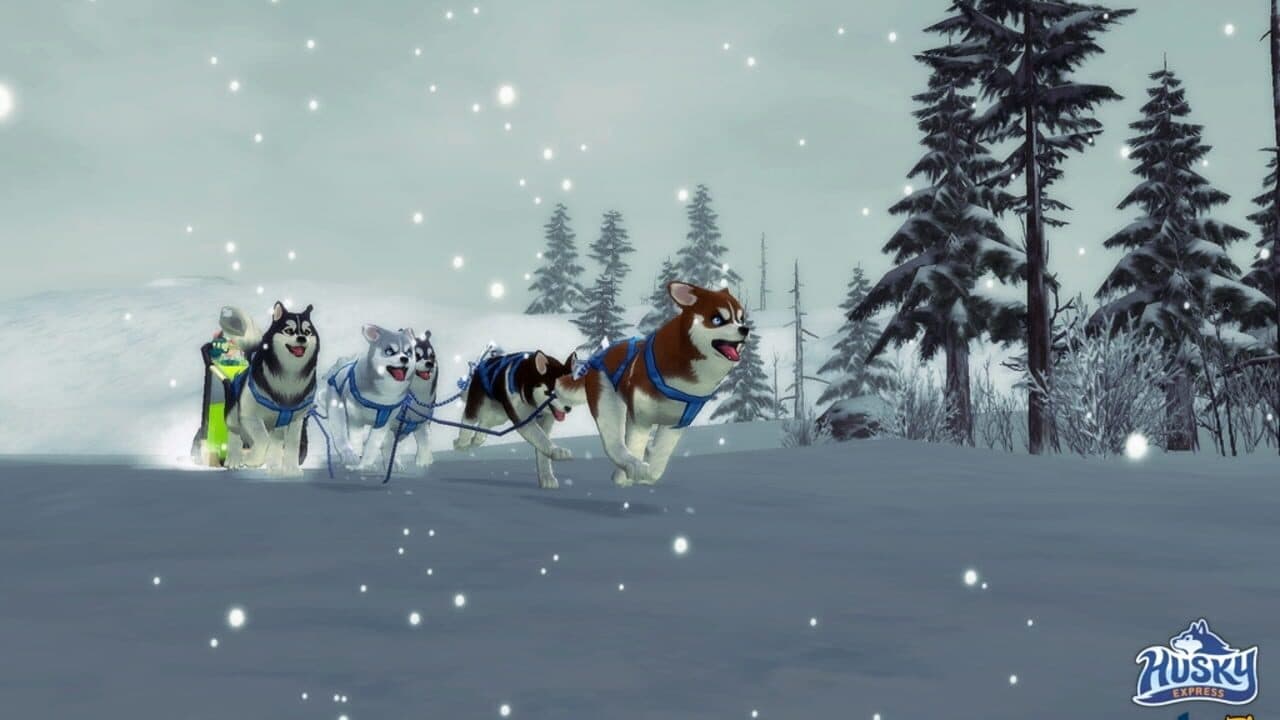 Husky Express thumbnail 4