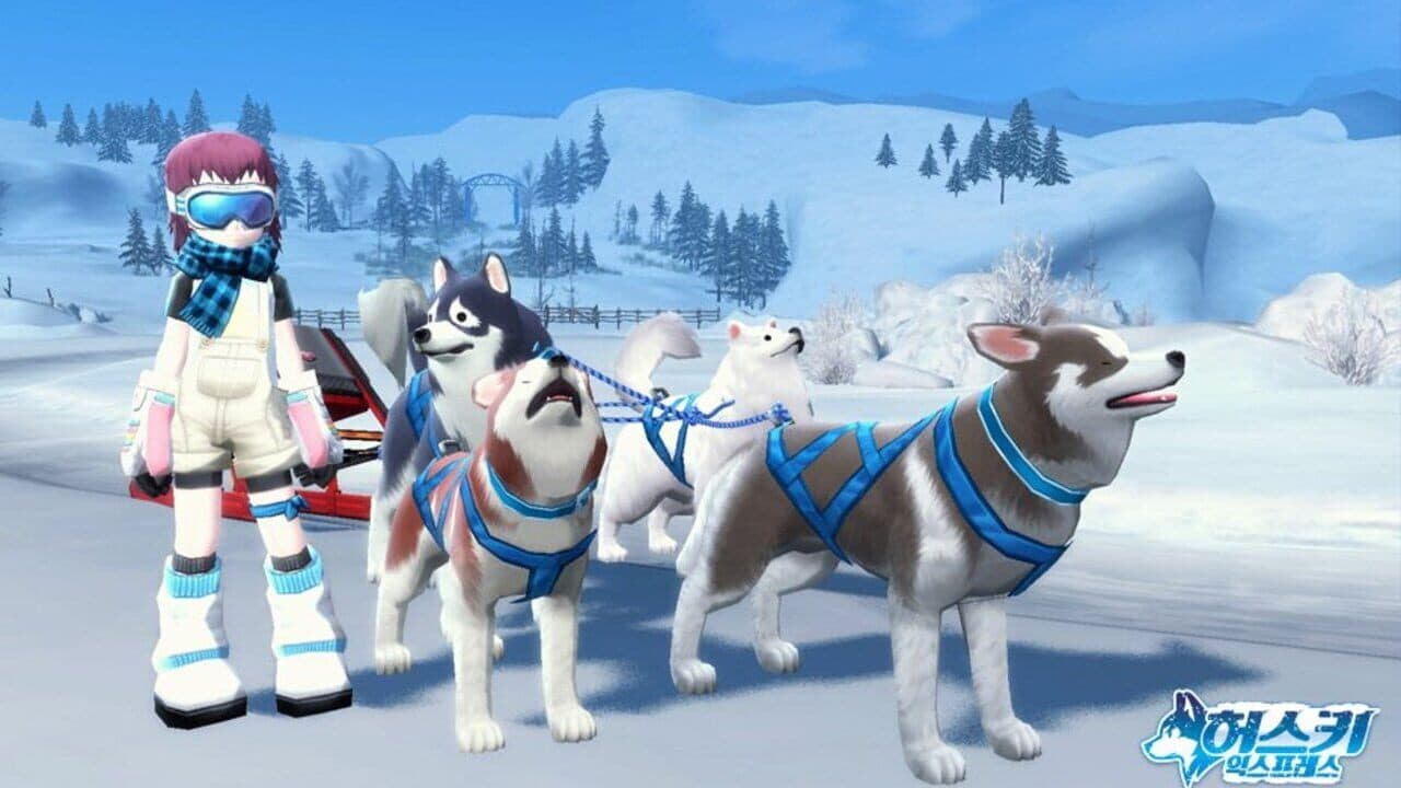 Husky Express thumbnail 10