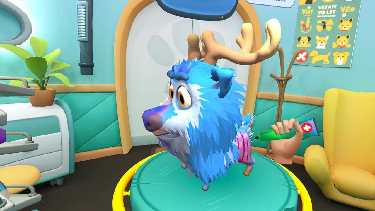 Pets & Stuff thumbnail 8