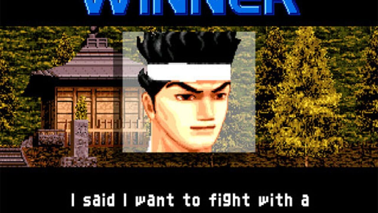 Virtua Fighter 2 thumbnail 3