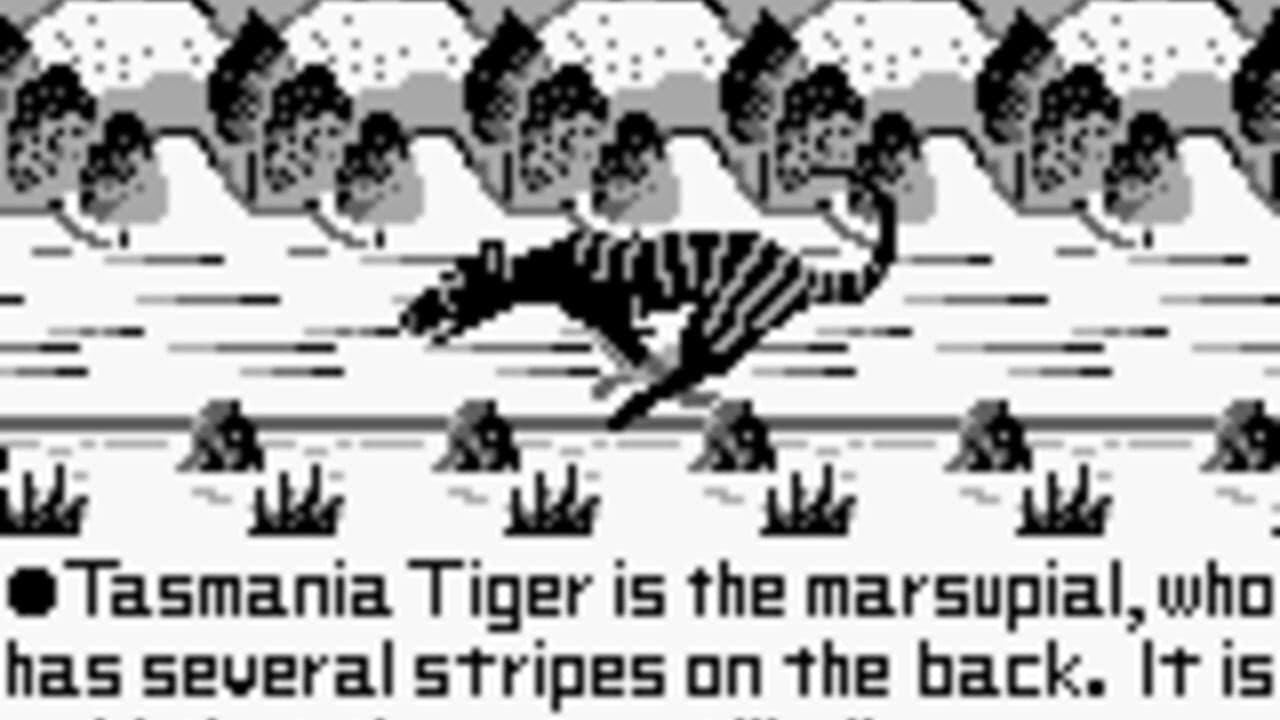 Tasmania Story thumbnail 2
