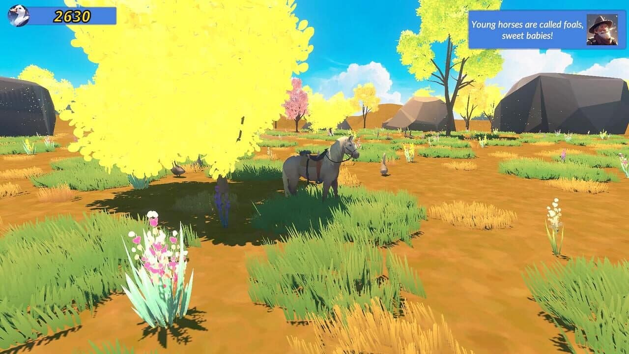 Meadow Gallop thumbnail 4