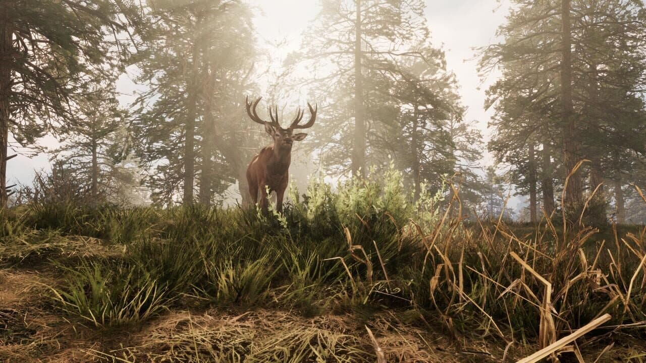 A Twisted Path To Renown thumbnail 15
