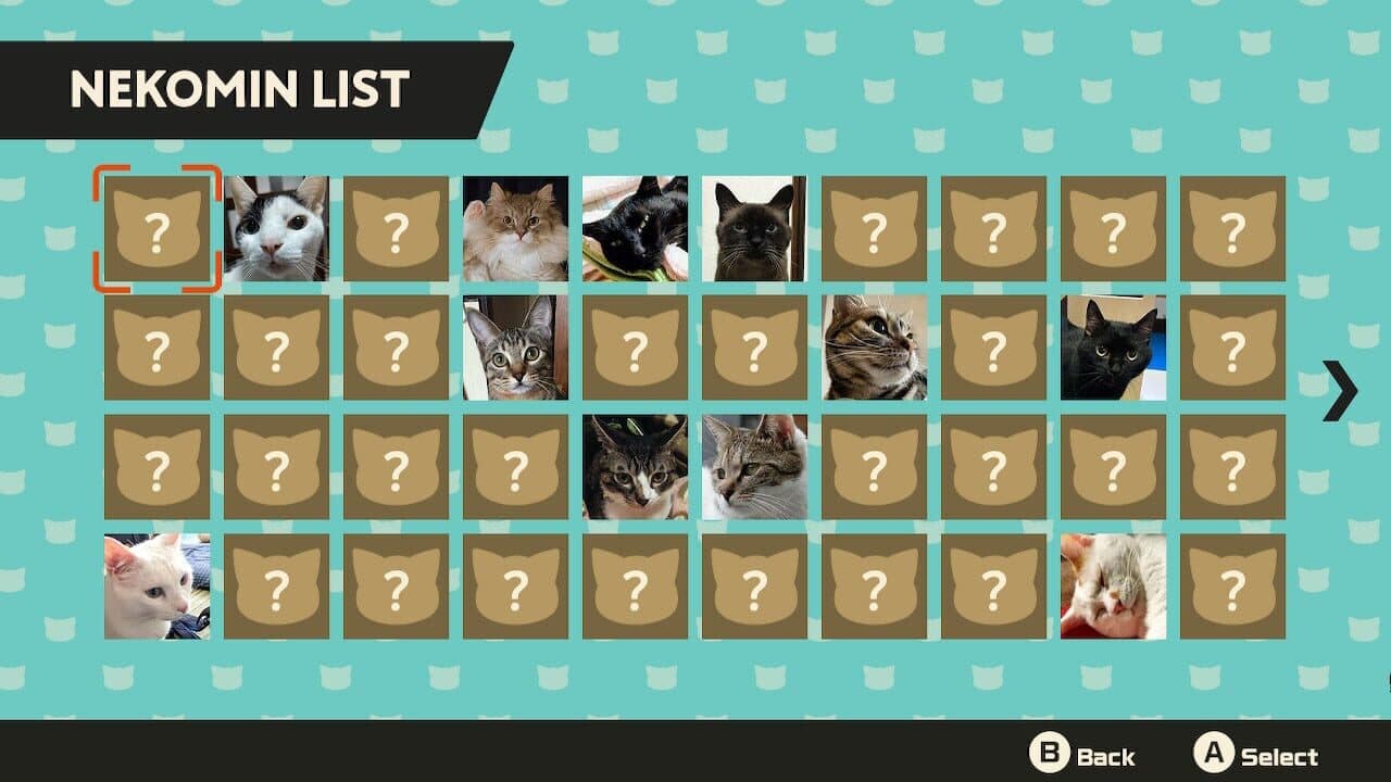 Neko Min thumbnail 6