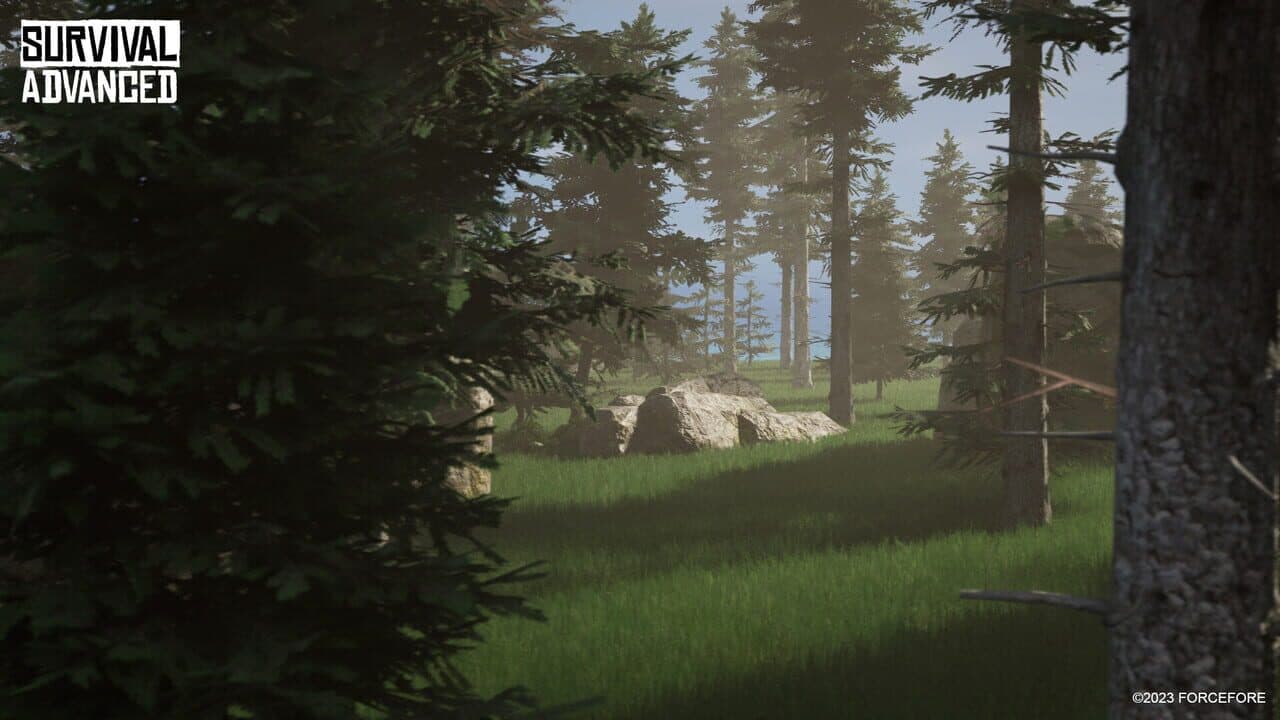 Survival Advanced thumbnail 2