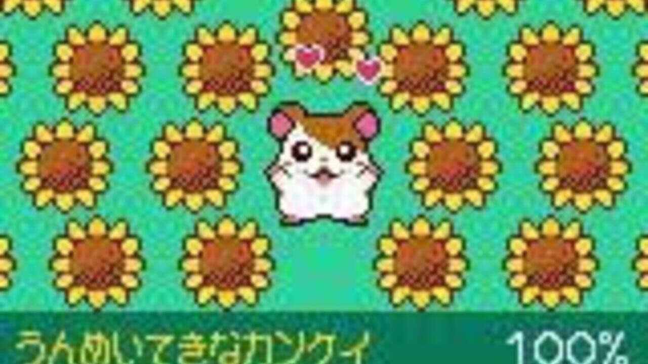 Tottoko Hamtaro: Tomodachi Daisakusen Dechu thumbnail 3