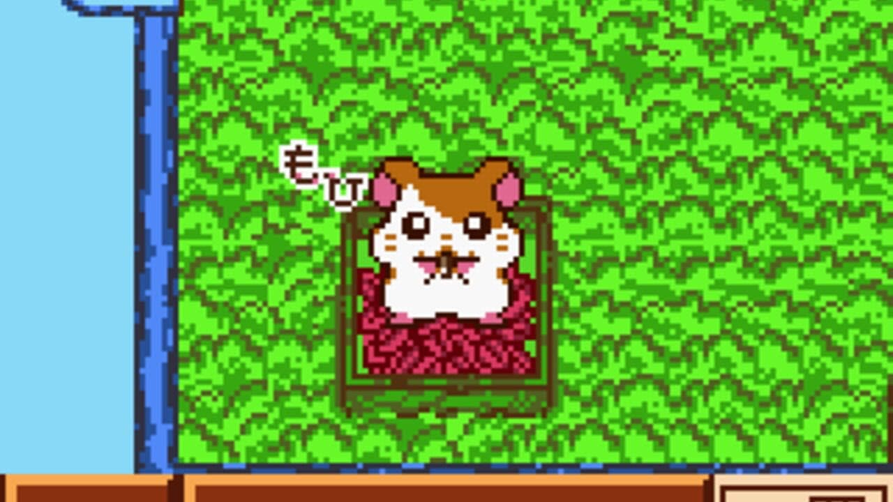 Tottoko Hamtaro: Tomodachi Daisakusen Dechu thumbnail 4