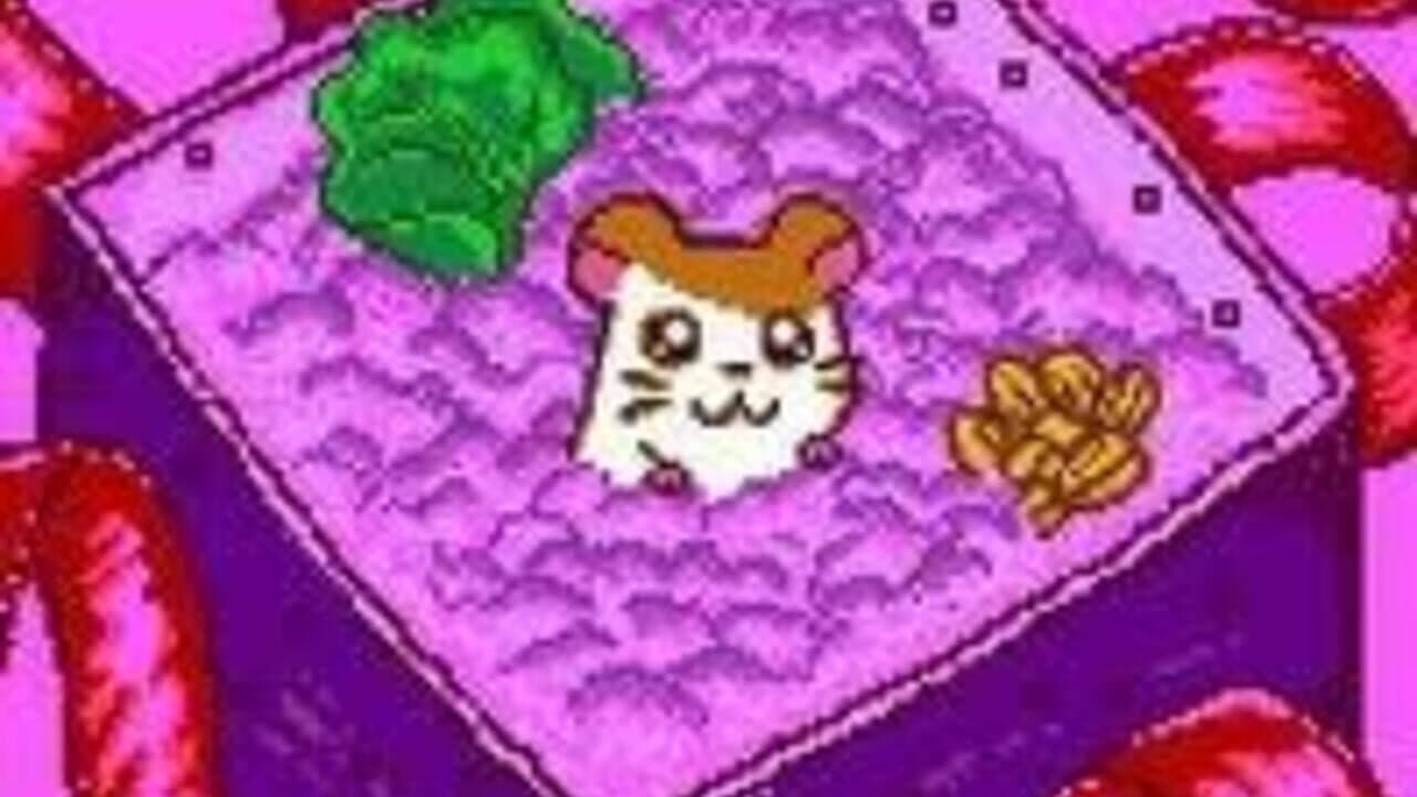 Tottoko Hamtaro: Tomodachi Daisakusen Dechu thumbnail 5