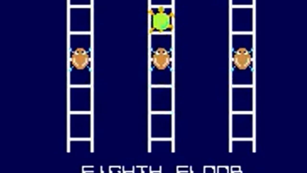 Turtles thumbnail 6