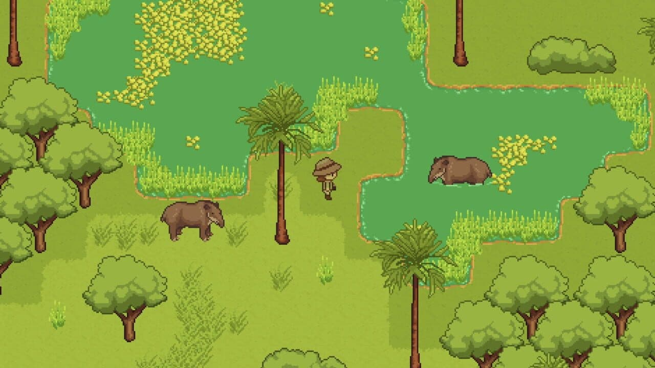 Snap! A Cerrado Adventure thumbnail 5