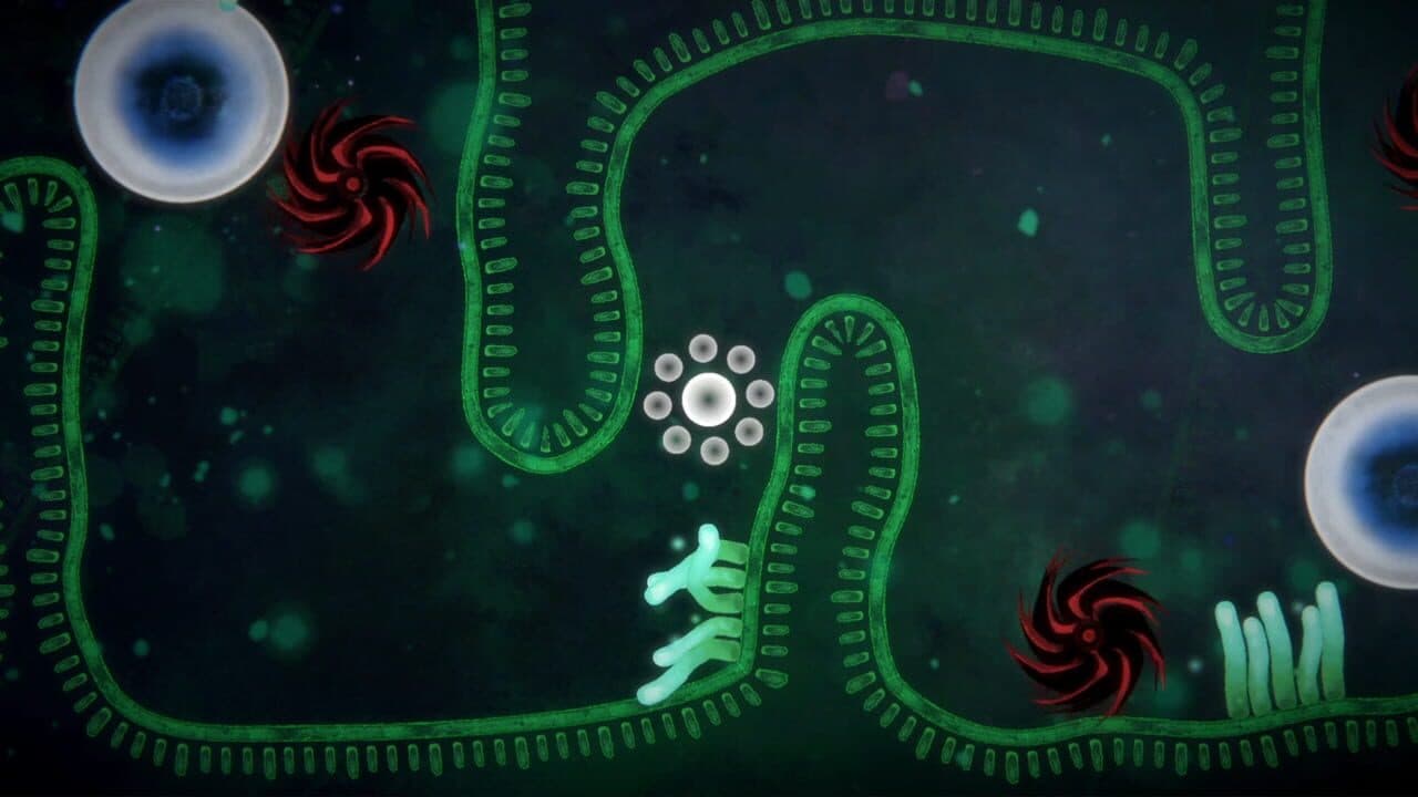 Focus Find thumbnail 2