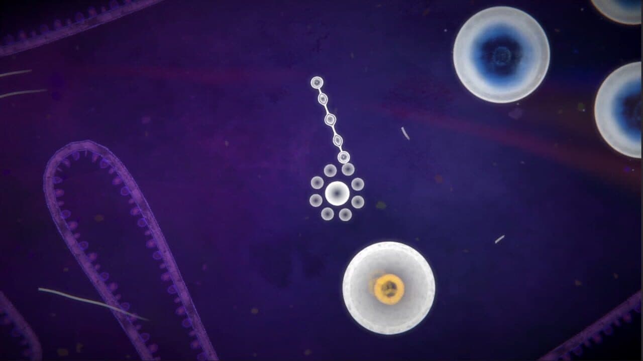 Focus Find thumbnail 3