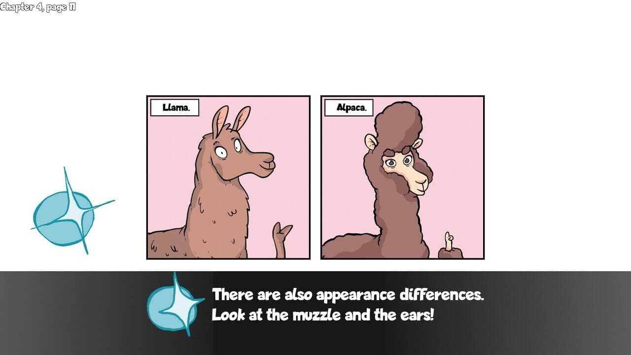 Alpaca Wonders Why thumbnail 6