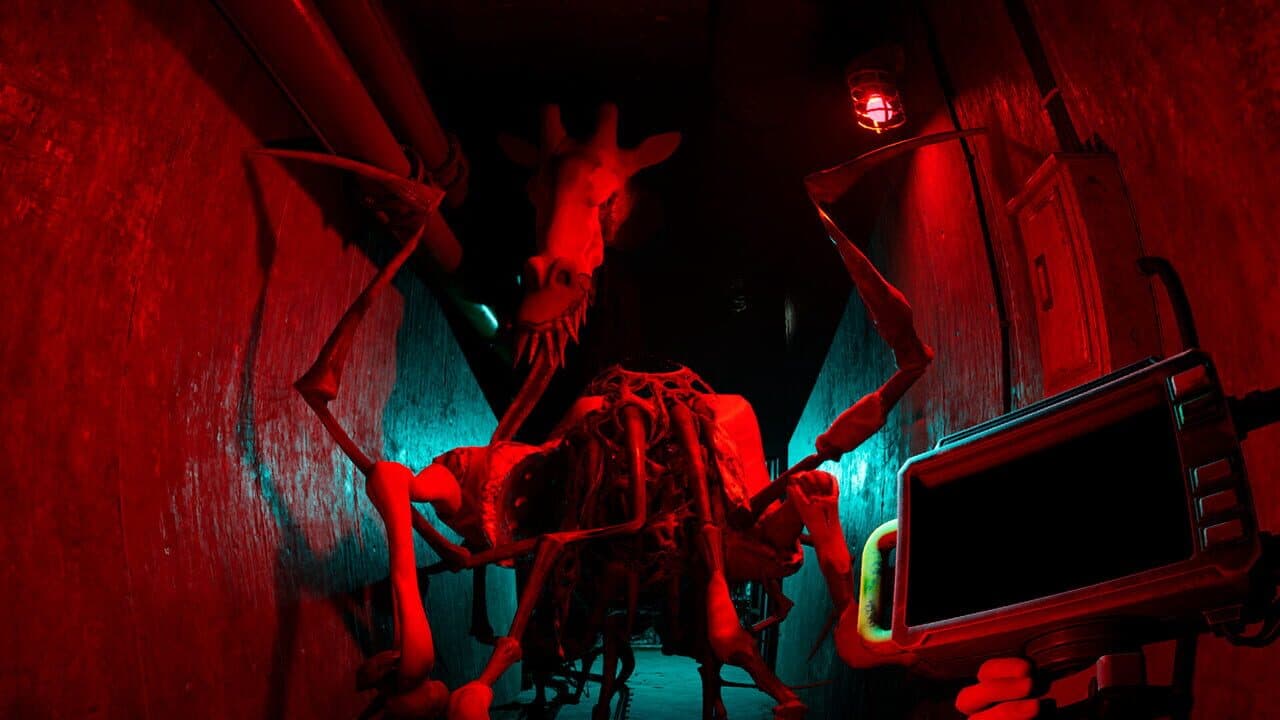 Zoochosis thumbnail 2